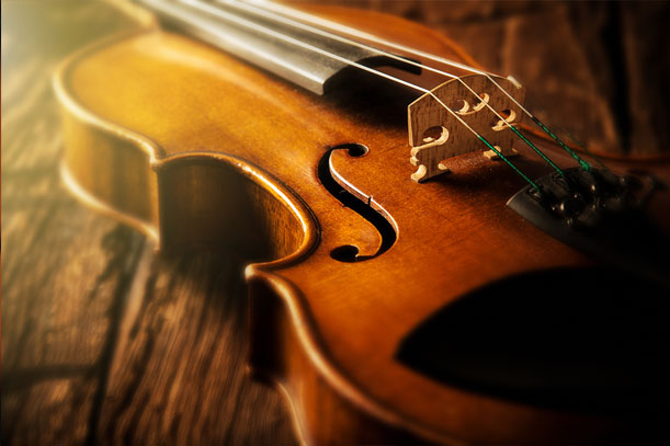 violin